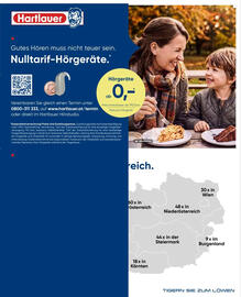 Hartlauer Flugblatt Seite 6