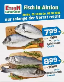 ETSAN Flugblatt Seite 1