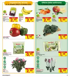 Volantino Interspar Pagina 5: Salat Gran Poker €1,29, Peperone misto €1,99
