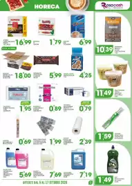 Volantino Rosa Cash Pagina 11: Lysoform professionale superfici €7,19, Matic L detergente lavastoviglie €7,69