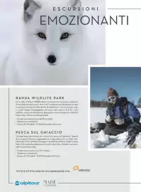 Volantino Alpitour Pagina 18