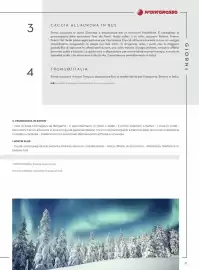 Volantino Alpitour Pagina 31