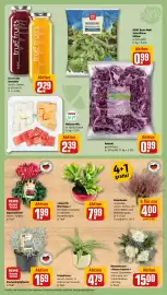 Rewe DE folder week 41 Pagina 7