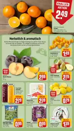 REWE City Prospekt woche 41 Seite 8
