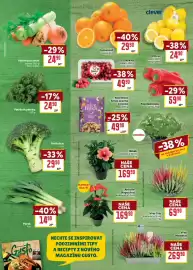 Billa leták týden 41 Strana 5: Ilustrační foto. Polévková směs balení, 500 g 100 g 4,98 Kč -29% 2490 3490 clever Pomeranč