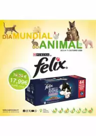 Folheto CAMPOCHEIO Página 6