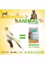 Folheto CAMPOCHEIO Página 9