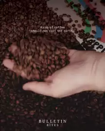 Folleto Napapijri Página 2