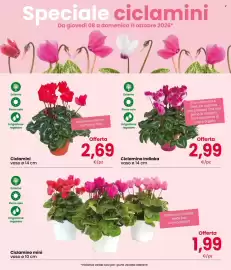 Volantino Eurospar Pagina 3: Ciclamini €2,69, Ciclamino Indiaka €2,99