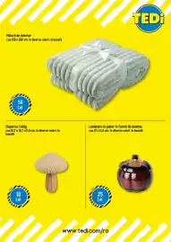 Catalog TEDI Pagină 2: Pătură de interior cca 150 x 200 cm, în diverse culori, la bucată 5.5g 50 Lei TEDİ Ciuperca Teddy cca