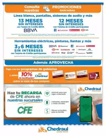 Folleto Chedraui Página 14