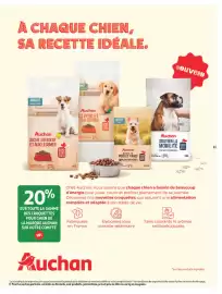 Catalogue Auchan | Animalerie page 13