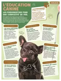 Catalogue Auchan | Animalerie page 17