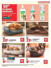 Catalogue Auchan | Animalerie page 20: RELAX COUSSIN RIGA €6,80, RIGA PANIER EN PLASTIQUE €6,80