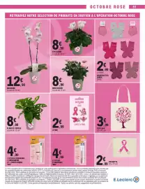 Catalogue E.Leclerc | Promos en OR page 51: PLANTES VERTES €8,90, OCTOBRE ROSE €2,99