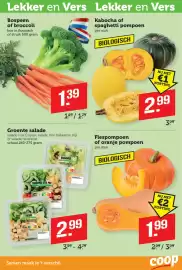 Coop folder week 41 Pagina 4: Flespompoen of oranje pompoen €1,99, Groente salade €2,99