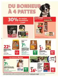 Catalogue Auchan Supermarché | Animalerie page 8