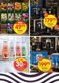 EKO reklamblad vecka 41 Sida 3: Family fresh Duschtvål €30,00, Lamborghini Gåvobox €179,95