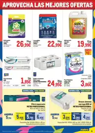 Catálogo Makro Página 15: Scottex papel higiénico megarollo €3,86, Makro professional bobina secamanos eco 2 capas €24,95