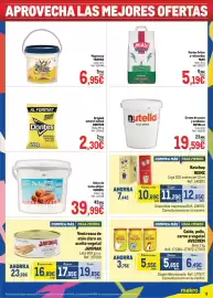 Catálogo Makro Página 9: MárdeL dulce de leche alfajorera €39,99, Ketchup Heinz €10,69