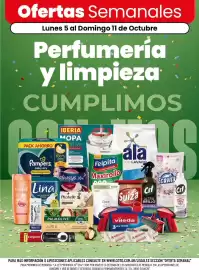Catálogo Coto semana 41 Página 1