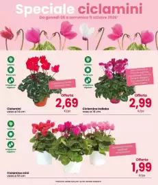 Volantino Interspar Pagina 3