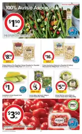 Coles catalogue week 41 Page 29