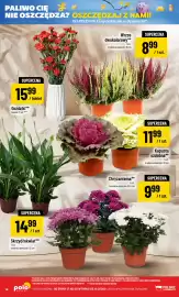 Polomarket gazetka tydzień 41 Strona 14