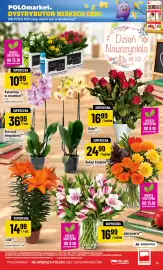 Polomarket gazetka tydzień 41 Strona 15