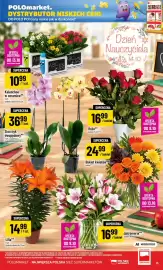 Polomarket gazetka tydzień 41 Strona 15: Róże €16,99, Bukiet kwiatów €24,99