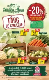 Catalog Mega Image săptămâna 41 Pagină 14