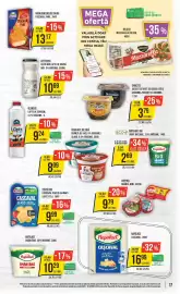 Catalog Mega Image săptămâna 41 Pagină 17: Napolact bio iaurt natural €2,69, Hochland cascaval pane €13,17