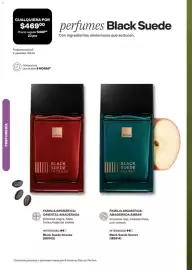 Catálogo Avon Página 113
