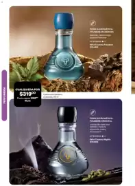 Catálogo Avon Página 119