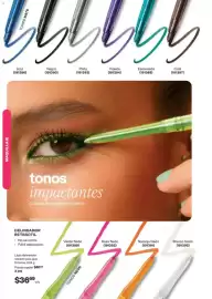 Catálogo Avon Página 17