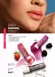 Catálogo Avon Página 23