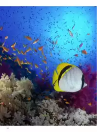 Volantino Alpitour Pagina 110