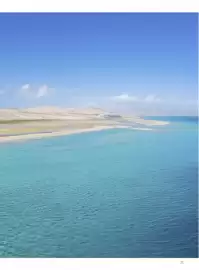 Volantino Alpitour Pagina 25