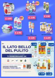 Volantino Kuadrifoglio Pagina 17: Raid tarme assortite €2,29, Ippa spazzola adesiva €1,49