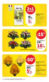 Catalogue Bi1 page 28
