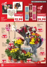 Kaufland gazetka tydzień 41 Strona 15