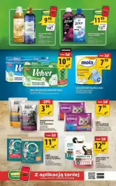 Arhelan gazetka Strona 17: Papier toaletowy Velvet €10,99, Ręcznik papierowy Mola Mega 2 rolki €7,99