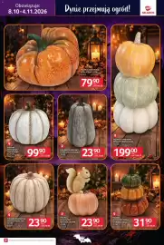 Selgros gazetka Strona 10: Figurka Ogrodowa Wiewiór na Dyni €23,90, Figurka Ogrodowa Dynia Potrójna Venlo €31,90