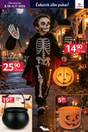 Selgros gazetka Strona 7: Wiaderko na słodycze €5,99, Kociołek Czarownicy €19,90