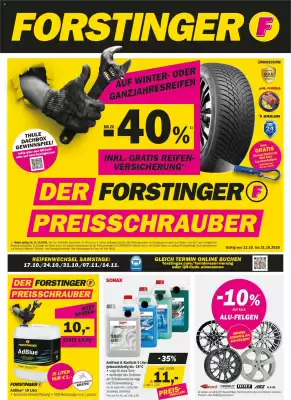 Forstinger (gültig bis 31-10)