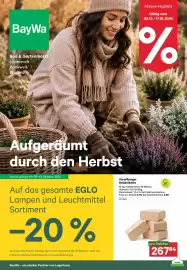 BayWa Prospekt Seite 1: Holzbriketts €2,99