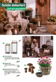 BayWa Prospekt Seite 8: Laterne Damiano €24,99, Pflanzkorb Rattan Dry Pot Tina €13,99