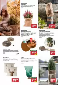 BayWa Prospekt Seite 9: Videx Winterschutz Mega Vlieshaube €7,99, Kissen Fenro €19,99