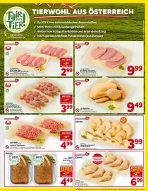 Billa Flugblatt woche 41 Seite 5