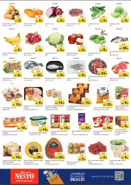 Nesto catalogue Page 2